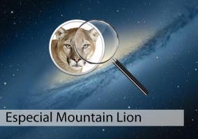 Especial Mountain Lion