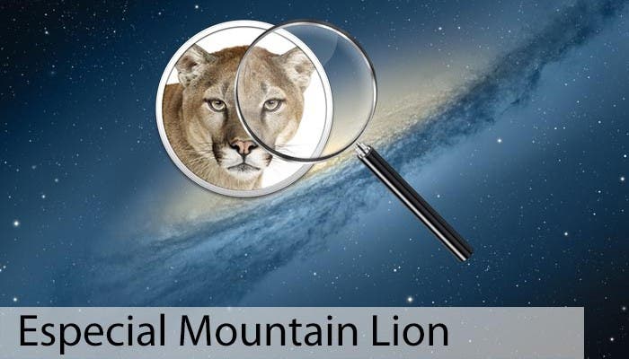 Especial Mountain Lion