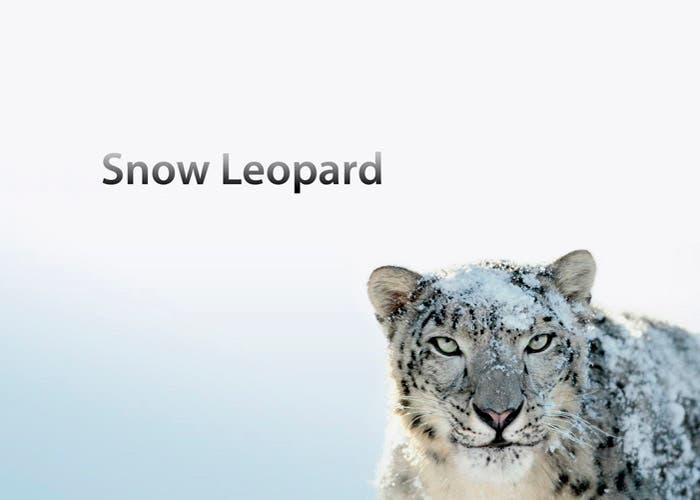 Snow Leopard aún vigente en Mac