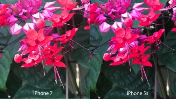 Fotos efecto acuarela en el iPhone 7 Plus