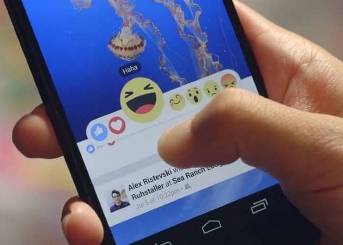 Facebook permite el uso de gifs